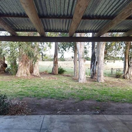 La Nena: Casa de campo a 15 minutos del centro. Colónia do Sacramento Exterior foto