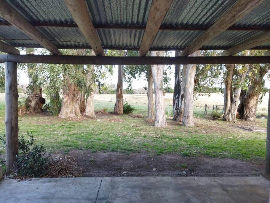 La Nena: Casa de campo a 15 minutos del centro. Colónia do Sacramento Exterior foto
